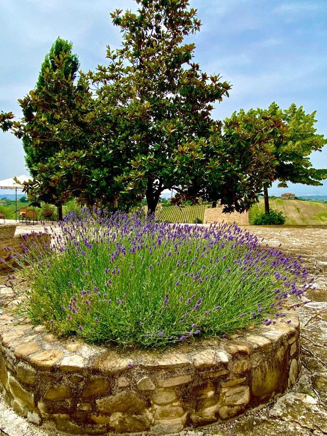 B&B Santa Caterina Акуавива Пичена Екстериор снимка